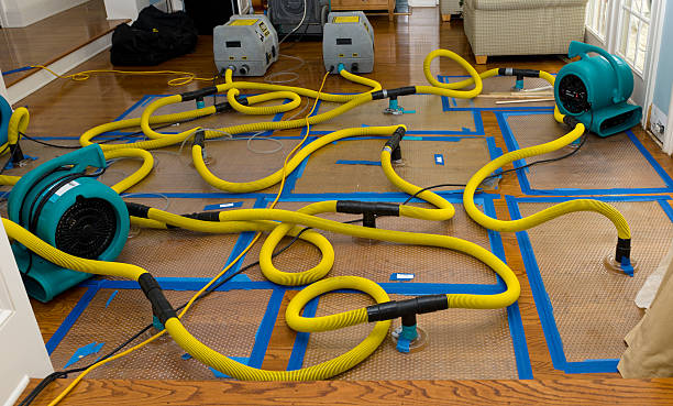 Professional Basement Flood Cleanup technician working in Twin Lakes, CA